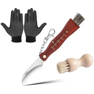 Norhogo Pilzmesser mit Bürste und Lineal, Taschenmesser, Klappmesser aus rostfreiem Stahl, mit Pilzbürste aus Holz, Pilzmesser mit Handschuhen