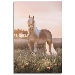 WARL Schönes Haflinger-Pferd-Poster, dekoratives Gemälde, Leinwand-Kunstbild, 40 x 60 cm