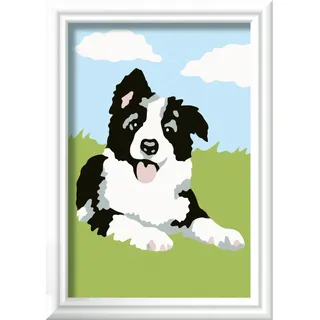Ravensburger Malen nach Zahlen Border Collie Welpe - Kinder ab 7 Jahre, Malset mit Rahmen, Pinsel und Acrylfarben, Geschenk für Mädchen und Jungen