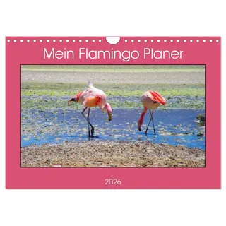 Calvendo Mein Flamingo Planer (Wandkalender 2026 DIN A4 quer), CALVENDO Monatskalender: