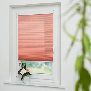 Liedeco Plissee »Lachs« Lichtschutz ohne Bohren verspannt, rot