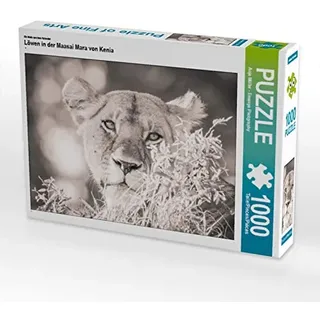 Calvendo Puzzle Ein Motiv aus dem Kalender Löwen in der Maasai Mara von Kenia 1000 Teile Puzzle quer | 1000 Teile Lege-Größe cm Foto-Puzzle für glückliche Stunden