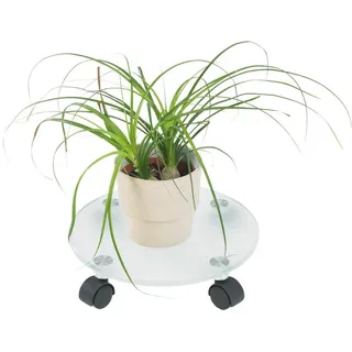 Boxxx Pflanzenroller , Glas , 30x7.5x30 cm , Dekoration, Blumen & Blumentöpfe, Übertöpfe