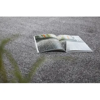 Andiamo Portland Teppichboden 400 x 400 cm Grau