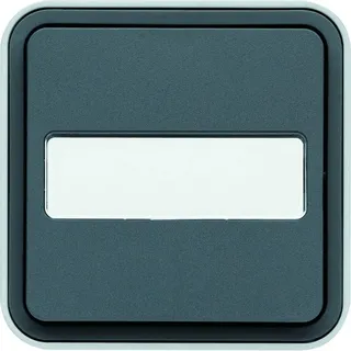 Pulsador con portaetiquetas e indicador luminoso, superfície, gris