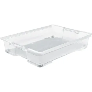Rotho Unterbettbox Evo Easy 50 l Transparent