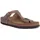 Gizeh Tabacco Brown 38