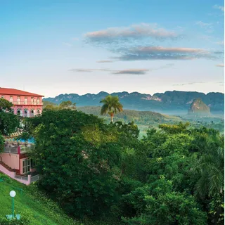 Rasch Fototapete »Young Artists« Wald   gemustert glatt, bunt