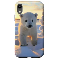 Hülle für iPhone XR Eisbär, arktischer Nordpol, Alaska-Schnee, niedliche Eisbären