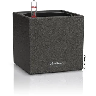 LECHUZA Canto Stone 14 14 x 14 x 13,5 cm Graphitschwarz