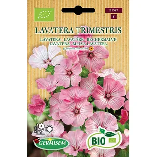 Germisem Bechermalve LAVATERA TRIMESTRIS, ECBIO1547