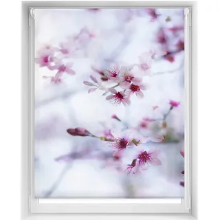 Blindecor Easy Verdunkelungsrollo ohne Bohren, Digitaldruck, Rollo, 120 x 150 cm (Breite x Höhe), Stoffgröße 117 x 145 cm, Thermo-Rollo