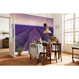 KOMAR Provence 400 x 260 cm