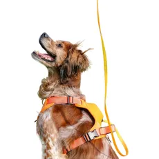 Ancol Hundegeschirr und Hundeleine Set Extreme Hybrid (L, Hund, Allgemein), Halsband + Leine