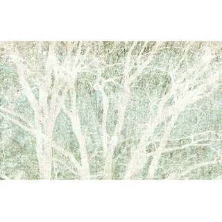 KOMAR Vliestapete »Digitaldruck Vlies - Peaceful Place 400 x 250 cm