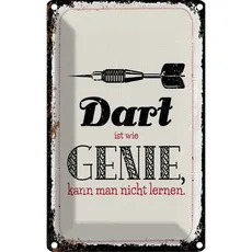 Blechschild 20x30 cm Dart Genie kann man nicht lernen