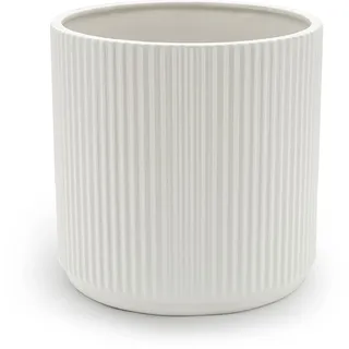 Amazon Basics Rund 20,3 cm Weiß