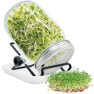 LTHERMELK 1000 Ml KeimgläSer-Set, Keimglas FüR Sprossen, Ausgestattet Mit Filterabdeckung Aus Edelstahl, Einer Verstellbaren Halterung, Sprossenglas Zum Keimen Von Sprossen Und Brunnenkresse