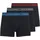 JACK JONES Jungen Jacwaistband 3 Noos Jr Asphalt/Detail hawaian Ocean Fiery Red 164 EU