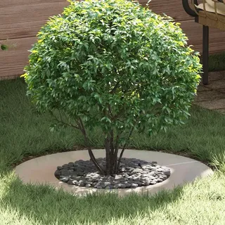 vidaXL geeignet für flachen Baumring Silber Ø40/70 cm Edelstahl - Silber