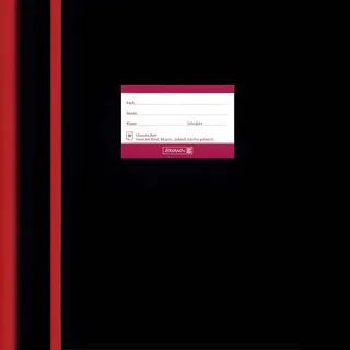 Brunnen Schulheft Oberschule Lineatur 25 liniert DIN A4 Außenrand, 20 Blatt, 1 St.