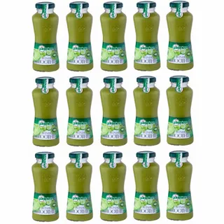 Güldenkron Smoothie grün Mehrfrucht Gemüsetrank Einweg 15x200ml
