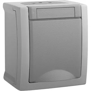 Panasonic Schuko-Steckdose 1 St. Grau