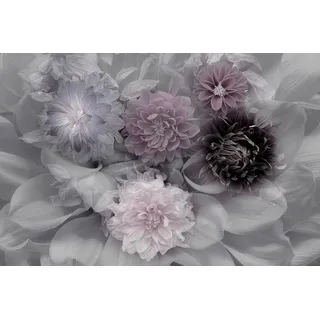 Papermoon Fototapete »Photo-Art INGE SCHUSTER, DAHLIA Dream bunt