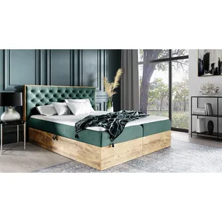 Boxspringbett Schlafzimmerbett DIONA 200x200cm Stoff Grün inkl. Bettkasten