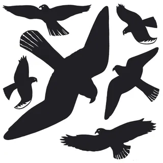 Herma Warnvögel 30 x 30 cm schwarz