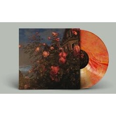 Musik Love (Blood Orange Vinyl) / Bence,John, (1 LP + Downloadcode)