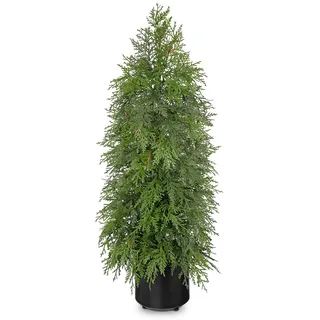 Arborus 90 CM Weihnachtsbaum Künstlich im Schwarz Topf Künstliche Zypresse Kuntbaum Weihnachtsdeko Grün Dekobaum Tisch Balkon Flur Winter Deko Adventsdeko Wohnzimmer Schlafzimmer Badezimmer Küche Deko