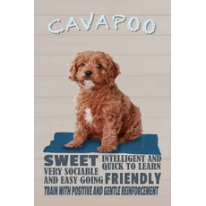 Blechschild 18x12 cm - Cavapoo Hund sweet friendly