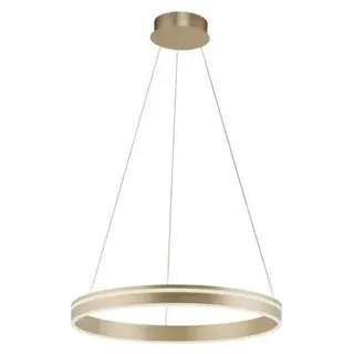 Paul Neuhaus LED Pendellampe CCT Q-Vito Ring Pendelleuchte Ring Works with Alexa, Fernbedienung messing matt Wohnzimmer, Esszimmer, Küche 8411-13, 8411-55, 8411-60