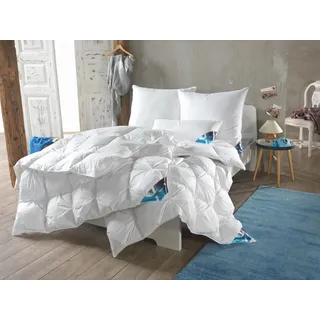 Haeussling »Hygge Home, Bettdecken für Sommer und Winter, Ganzjahresdecke, Decke« normal Füllung: weisseneue90Daunenund10FedernKl1 1 Stk. tlg. Bettdecke 135x200 cm, 155x220 cm & weitere Größen,