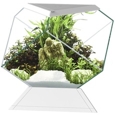 Askoll 280669 Nexus 5C Betta Life White