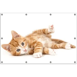 Wallario Outdoor-Poster für Garten oder Balkon, Motiv Süße Katze mit großen Augen - rot weiß getigert, in ca. 100 x 150 cm - Weiß