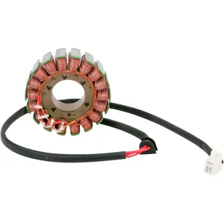 Ricks Motorsport Electric Oem Ducati 21-009 Stator - One Size