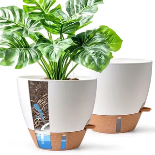 T4U 2er Set 25cm Selbstbewässernder Blumentopf mit Wasserstandsanzeige, ideal für Geigenfeige & Monstera, pflegeleicht, blumentopf Gross innen & pflanzkübel groß außen, Weiß