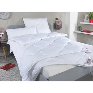 schlafgut Frankenstolz Tencel Leicht 135x200 cm