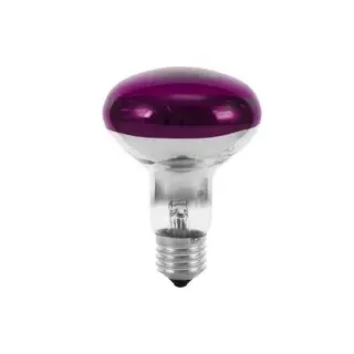 Eurolite 9210440U Glühlampe E27 Reflektor 60 W Violett (Ø x L) 80 mm x 110 mm 1 St.