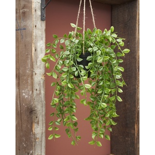 Mica decorations Mica Kunstpflanze Ficus grün, 81 cm