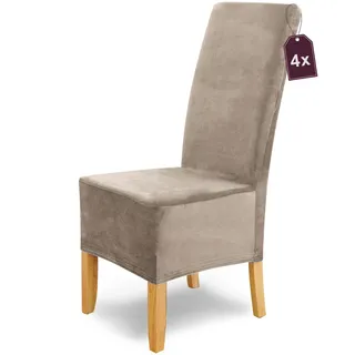 Scheffler Home Stuhlhussen Puma Velano Stein-Beige 4er Set – Elastische waschbare Stuhlbezüge aus Samt für Esszimmerstühle und Polsterstühle – Öko-Tex Zertifiziert