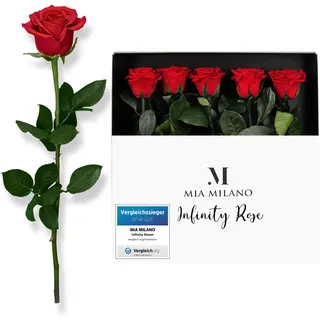 5 Infinity Rosen rot am Stiel (5 Jahre haltbar) in Geschenkbox | Deko Geschenk für Sie | Fünf konservierte Blumen mit Rosenduft | Inkl. Geschenkkarte