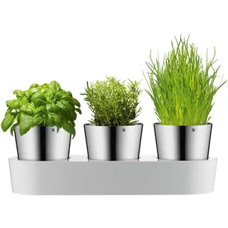 WMF Gourmet Kräutertopf 36 x 12,5 x 12,5 cm Weiß