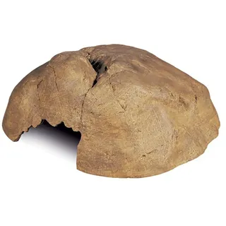 Exo Terra Extra Große Reptilienhöhle - Brown - 29 x 27.5 x 12 cm