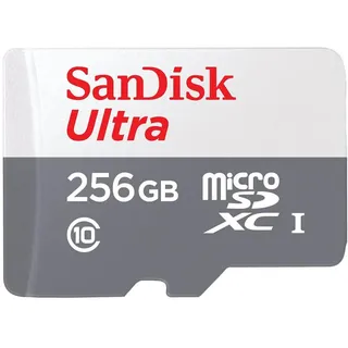 SanDisk Ultra R100 microSDXC 256GB, UHS-I, Class 10 (SDSQUNR-256G-GN3MN)