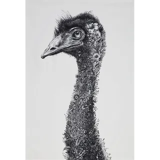 Maxwell & Williams Marini Ferlazzo Geschirrtuch mit Tiermotiv Echidna 100% indische Baumwolle, weiß, 50 x 70 cm