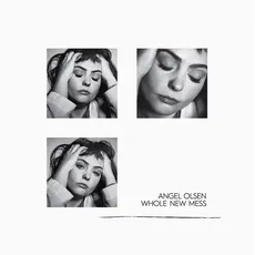 Vinyl Whole New Mess (Ltd.Clear Smoke Translucent Vinyl / Olsen,Angel, (1 LP (analog))