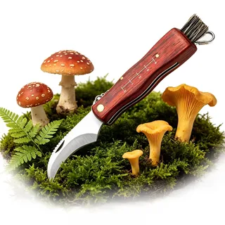 YEAPEAK Pilzmesser mit Bürste – Klappmesser mit gebogener Klinge aus rostfreiem Stahl & Holzgriff, integriertes Lineal zur Größenbestimmung, Schwammerlmesser für Pilzsammler & Outdoor